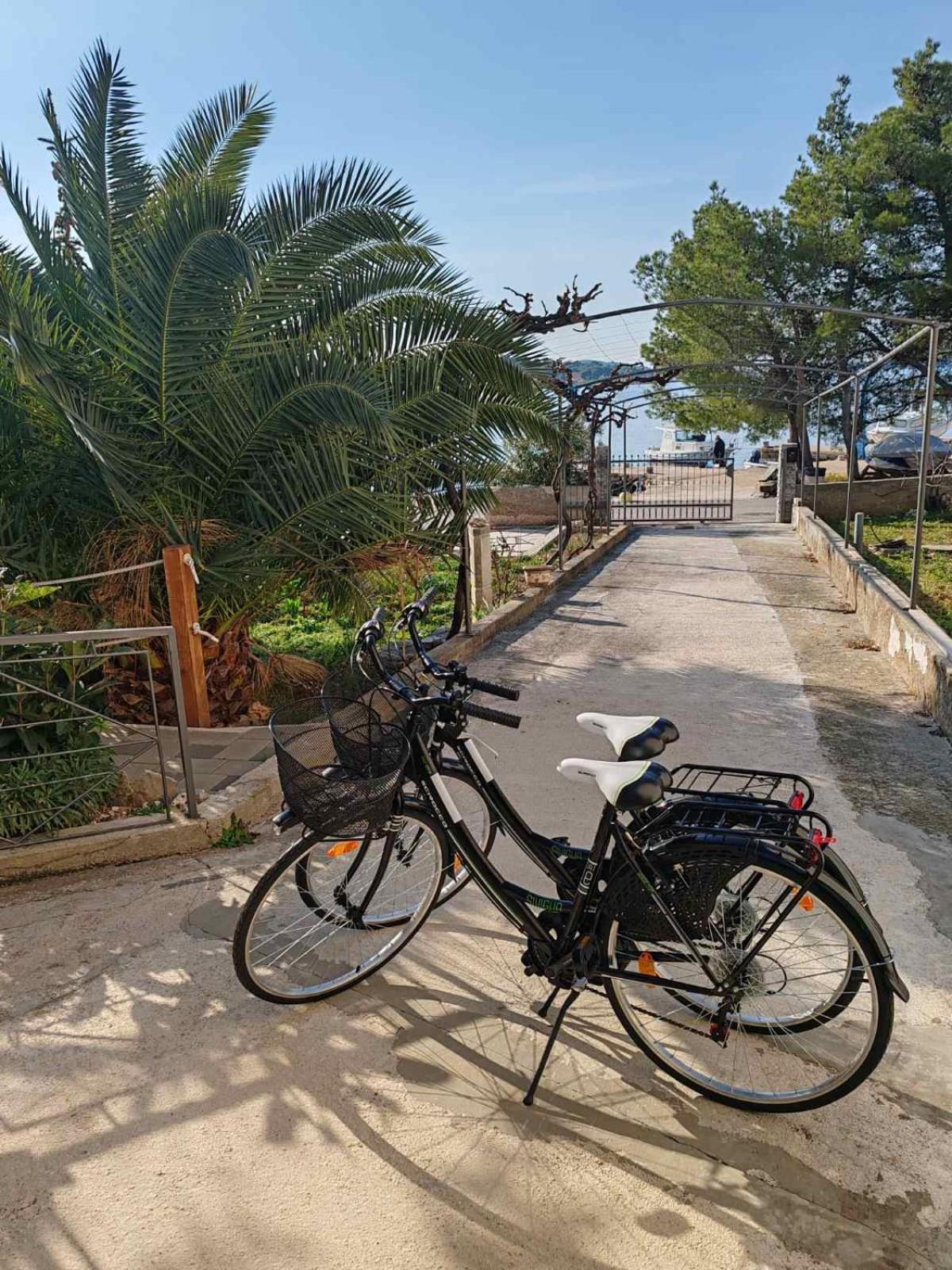 Apartments Alisa بروداريكا المظهر الخارجي الصورة